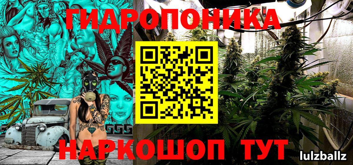 Канабис MAZAR Тверь